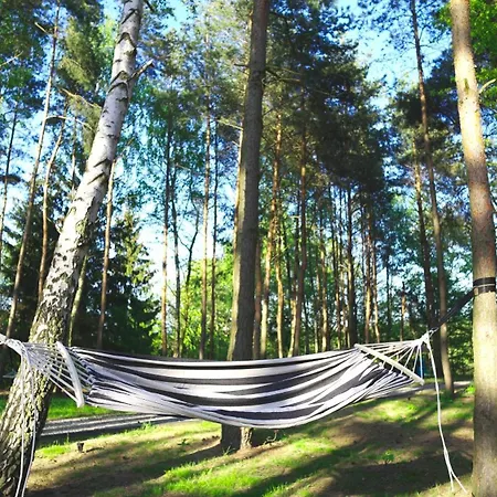 Jemiola Niedzwiady Male Ślesin