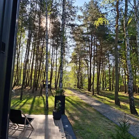 Jemioła Niedźwiady Małe *