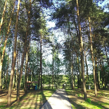 Jemiola Niedzwiady Male 度假居