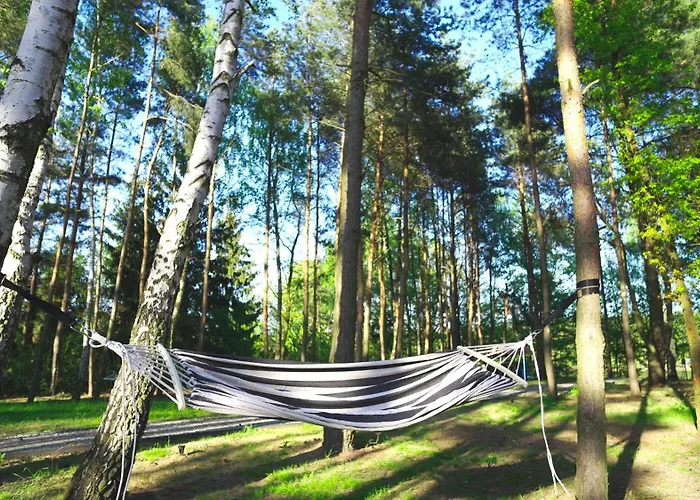 Jemiola Niedzwiady Male Slesin (Greater Poland)