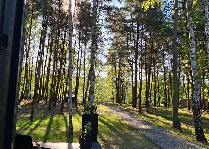 Jemiola Niedzwiady Male *