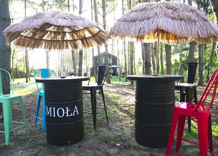 Jemiola Niedzwiady Male