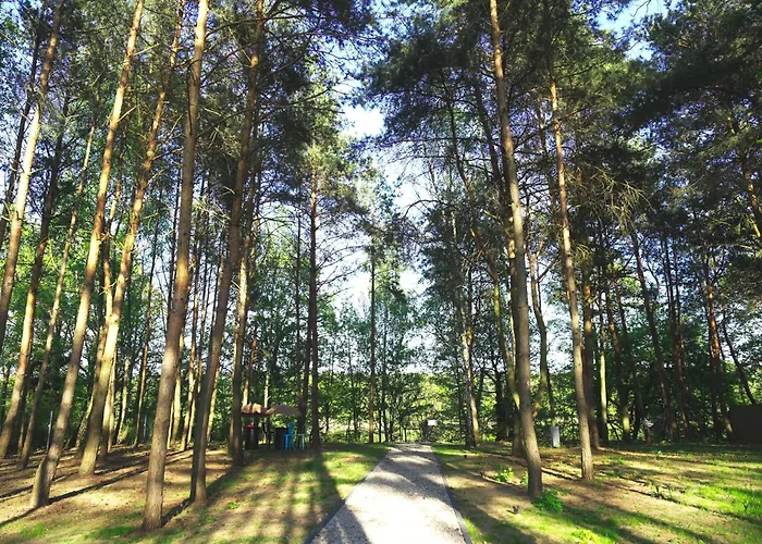 Jemiola Niedzwiady Male Holiday home