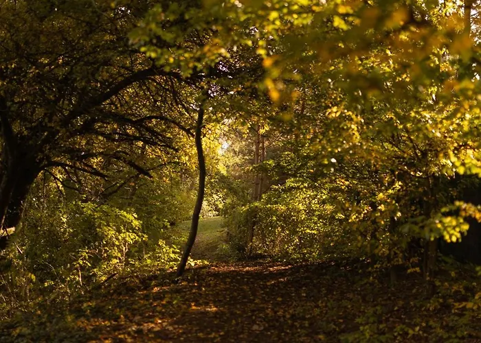 Jemiola Niedzwiady Male