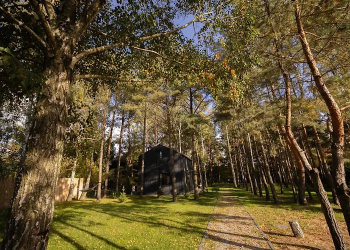 Jemiola Niedzwiady Male Holiday home Slesin (Greater Poland)