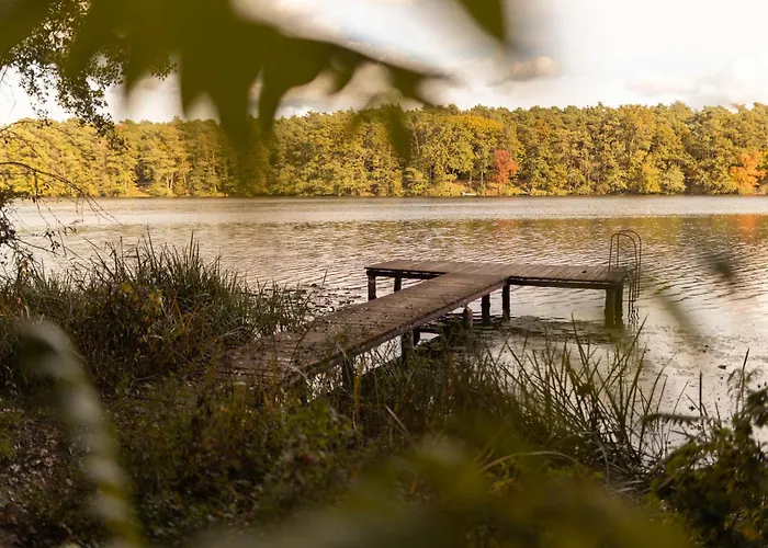 Jemiola Niedzwiady Male *