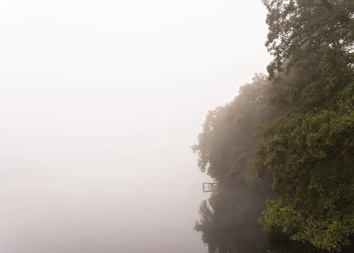 Jemiola Niedzwiady Male Slesin (Greater Poland)